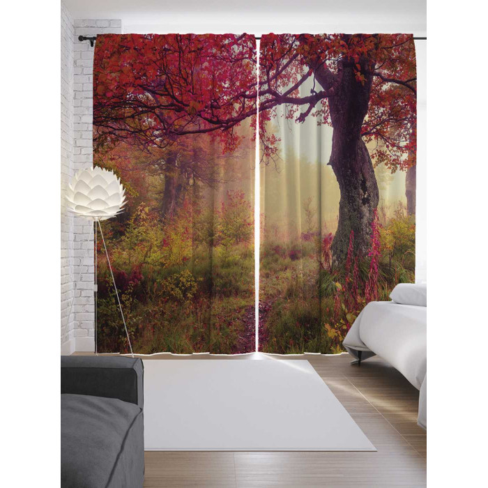 JoyArty Шторы с фотопечатью Туманные поиски из сатена 290х265 см, Шторы с фотопечатью Туманные поиски из сатена 290х265 см
JoyArty Шторы с фотопечатью Туманные поиски из сатена 290х265 см, Шторы с фотопечатью Туманные поиски из сатена 290х265 см