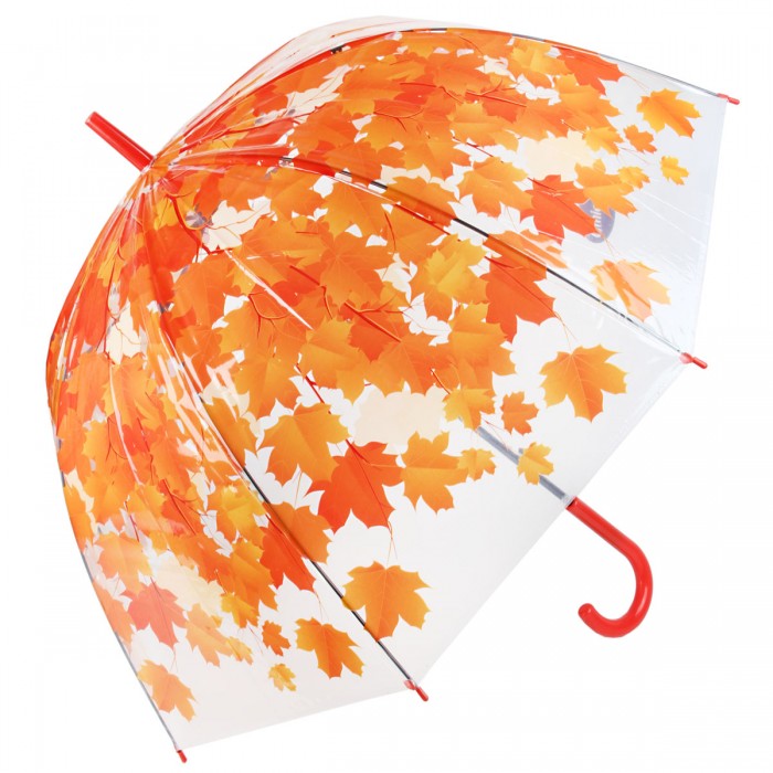 Зонт Ami&Co (AmiCo) Листья