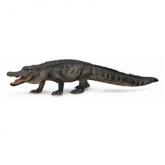 

Collecta Американский аллигатор 13 см, Американский аллигатор 13 см