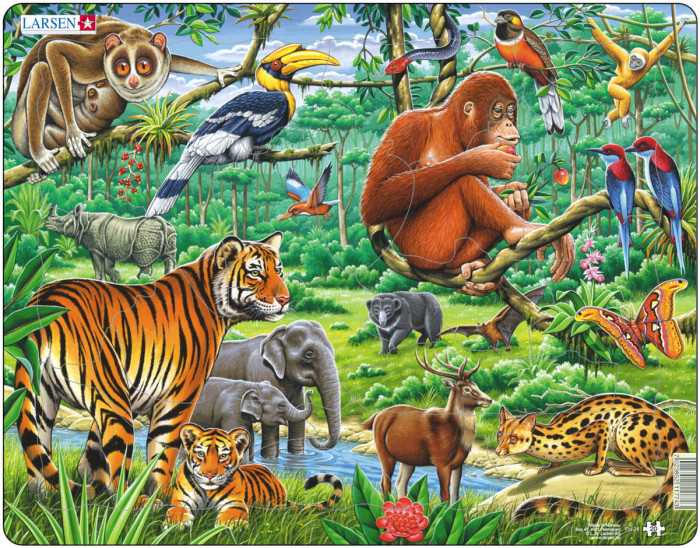 Пазлы Larsen Пазл Джунгли пазлы educa пазл раскраска джунгли 300 деталей