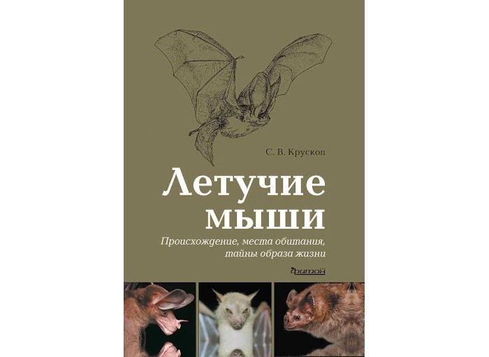 Издательство Фитон+ Книга Летучие мыши Происхождение, места обитания, тайны образа жизни смертельные тайны