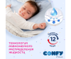  Confy Подгузники детские р.3 (4-9 кг) 140 шт. Мега Бокс - 4-1661168105