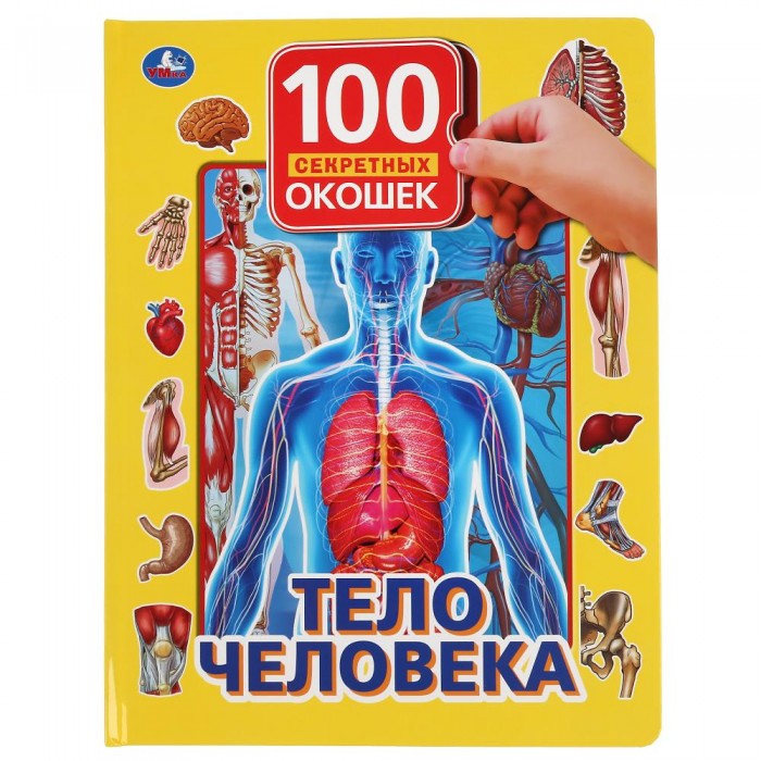 

Умка Книга с окошками Тело человека, Книга с окошками Тело человека
