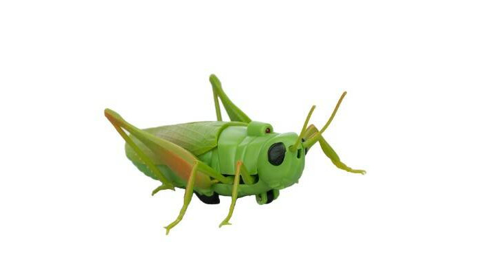 интерактивная игрушка kiddieplay robo insects таракан со встроенным двигателем Интерактивные игрушки KiddiePlay со встроенным двигателем Кузнечик