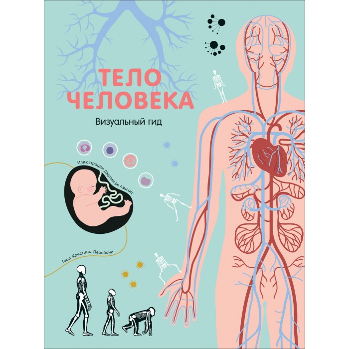 

Росмэн Книга Тело человека Визуальный гид, Книга Тело человека Визуальный гид