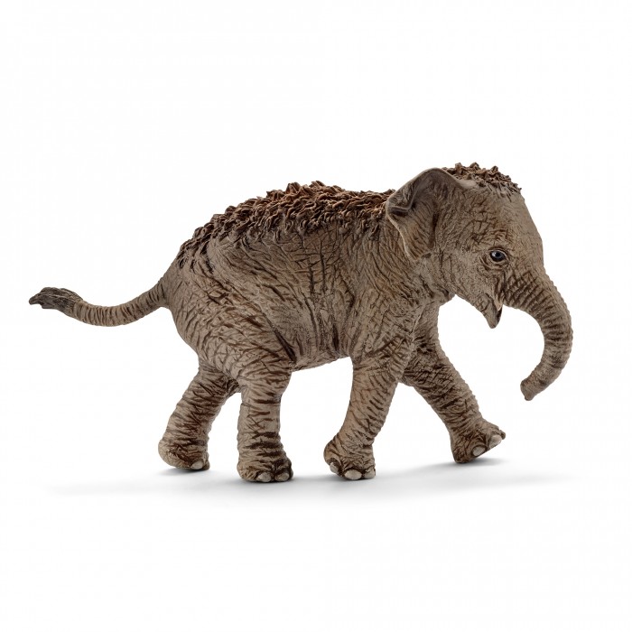 

Schleich Фигурка Азиатский слон детеныш, Фигурка Азиатский слон детеныш