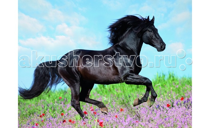 Пазлы Ravensburger Пазл Прекрасная лошадь XXL 200 элементов цена и фото