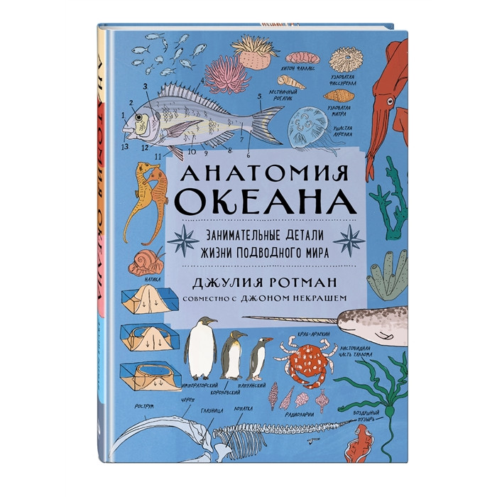 Эксмо Анатомия океана Занимательные детали жизни подводного мира 978-5-04-119745-2