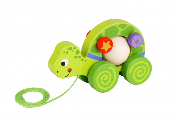 

Каталка-игрушка Tooky Toy Черепашка TKE003, Черепашка TKE003