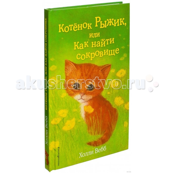 Рыжик книга. Холли Вебб котенок Рыжик. Котенок Рыжик книга. Котенок с книгой. Книга котенок Рыжик или как найти сокровище.