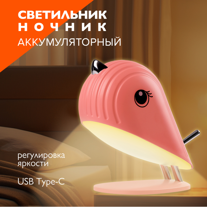 JAZZway Светильник ночник / декоративный светильник Jazzway Пташка JS5-BIRD-pk