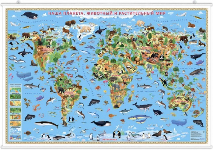 Геодом Карта настенная на рейках Наша планета Животный и растительный мир 124х80 см