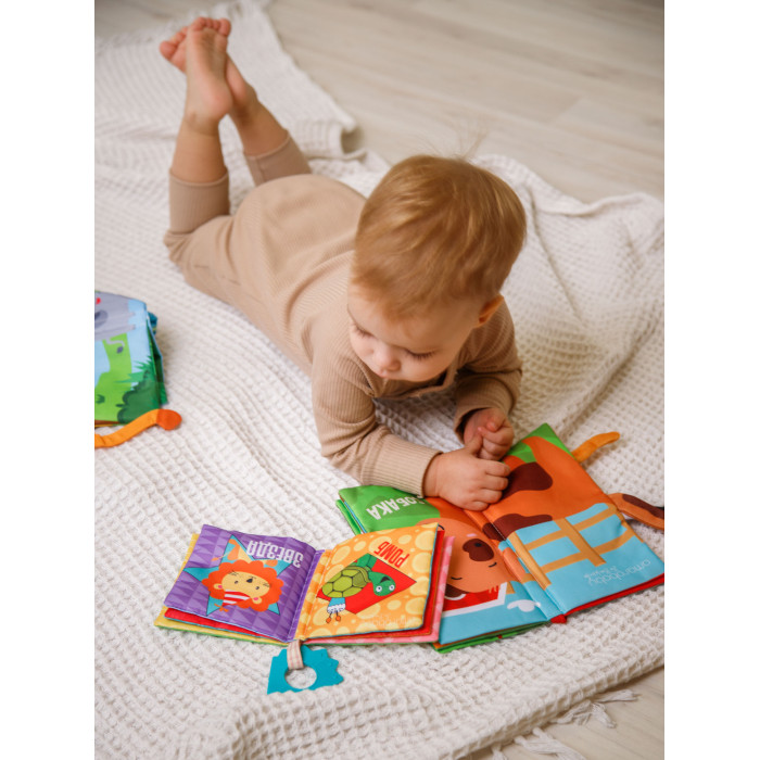 AmaroBaby Книжка-игрушка с грызунком Soft Book Противоположности