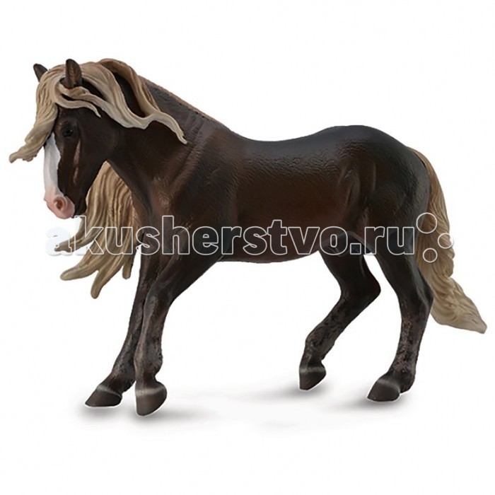 

Collecta Жеребец Блэк-форрест, Жеребец Блэк-форрест