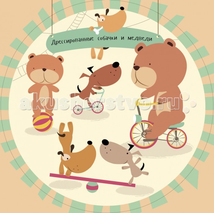 Clever Набор из трёх книг Цирк