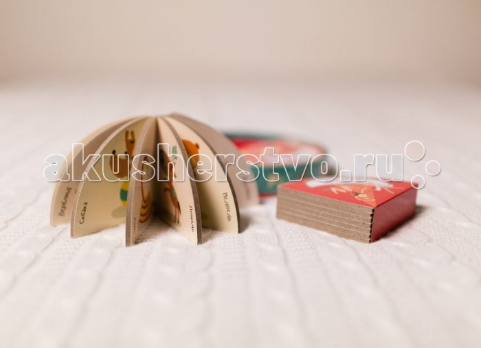 Clever Набор из трёх книг Цирк