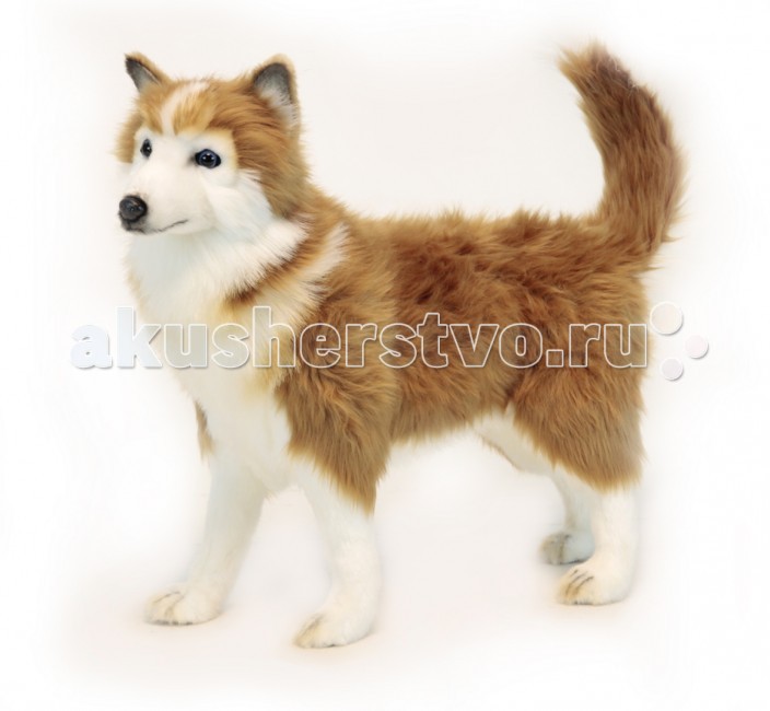 

Мягкая игрушка Hansa Хаски коричневая 50 см, Хаски коричневая 50 см