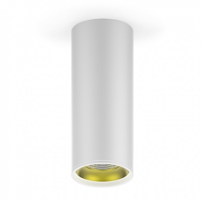 

Светильник Gauss накладной LED 12W 900Lm 3000K 79x200 мм, накладной LED 12W 900Lm 3000K 79x200 мм