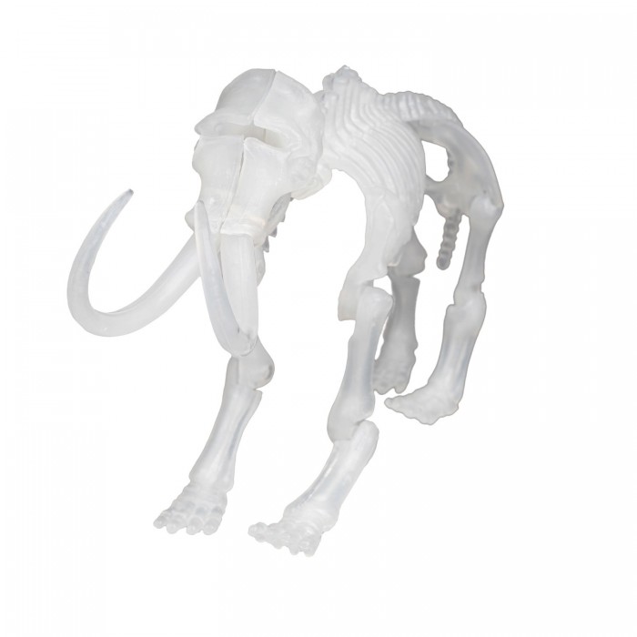 Bondibon Набор палеонтолога Динозавр Мамонт 3D скелет светящийся в темноте 4м скелет трицераптора 00 03228