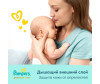  Pampers Подгузники Premium Care для новорожденных р.2 (4-8 кг) 160 шт. - Pampers Подгузники Premium Care New Baby 2 р. (4-8 кг) 148 шт.