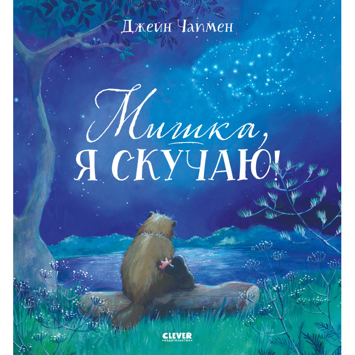 Книжки-картонки Clever Книжки-картинки Мишка, я скучаю!