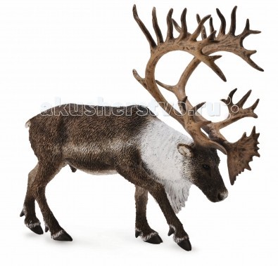 

Collecta Фигурка Северный Олень XL, Фигурка Северный Олень XL