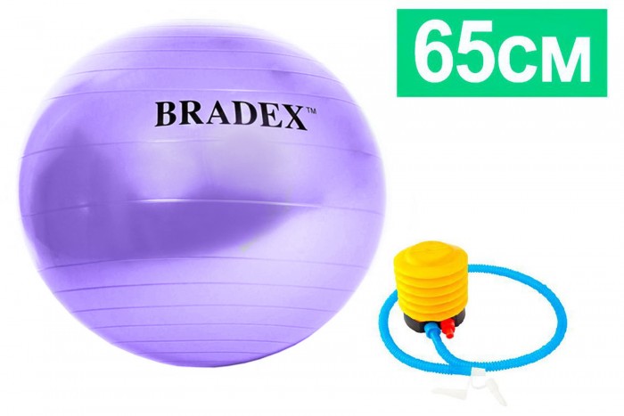 Bradex Мяч для фитнеса Фитбол-65 насосом 1138341
