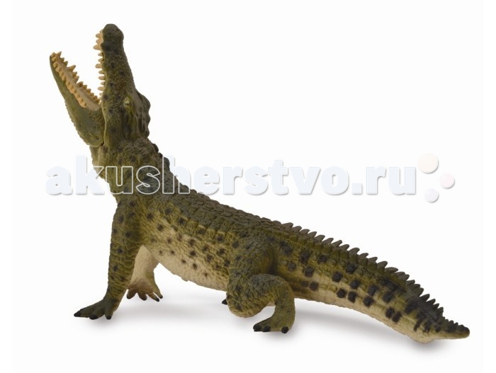 

Collecta Фигурка Нильский крокодил 17 см, Фигурка Нильский крокодил 17 см