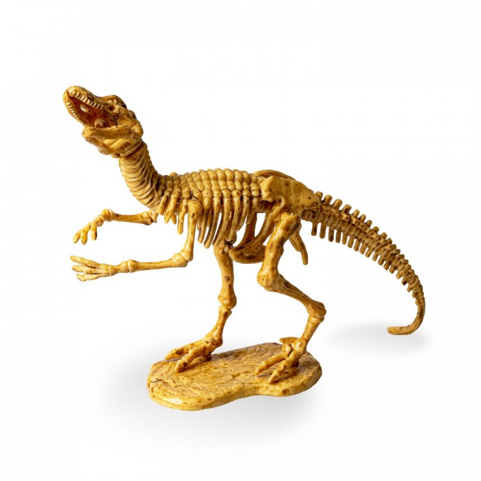 Bondibon Набор палеонтолога Динозавр Велоцираптор 3D скелет bondibon исторические раскопки науки с буки тайны веков велоцираптор
