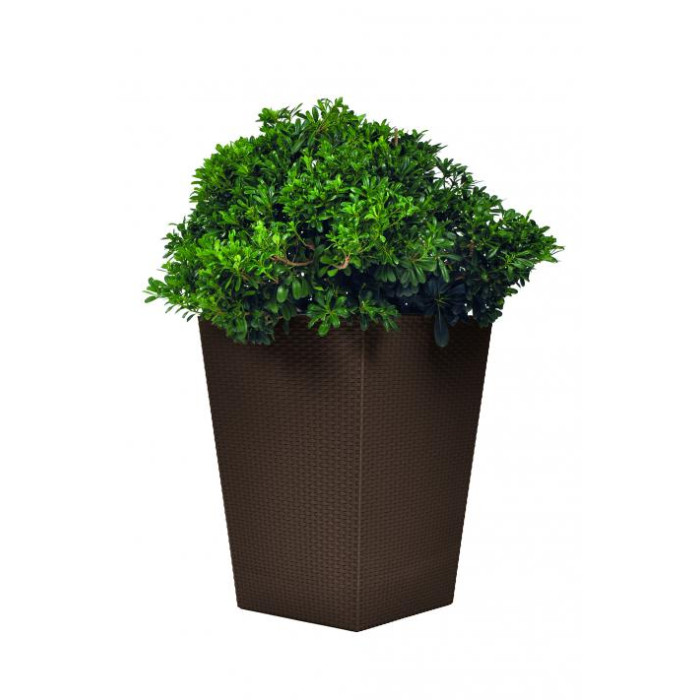 

Keter Кашпо Rattan Planter M, Кашпо Rattan Planter M