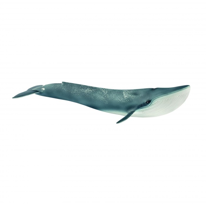 

Schleich Игровая фигурка Голубой кит, Игровая фигурка Голубой кит