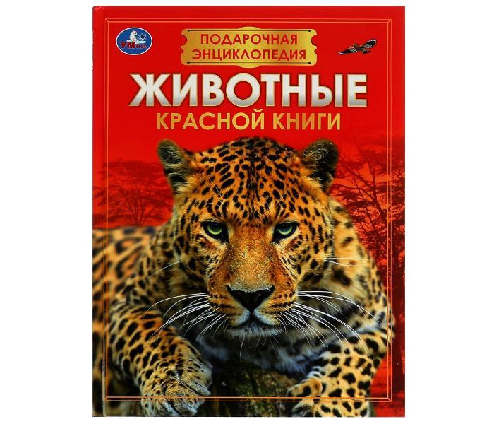 

Умка Подарочная энциклопедия Животные Красной книги, Подарочная энциклопедия Животные Красной книги