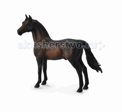 

Collecta Фигурка Жеребец Морган XL, Фигурка Жеребец Морган XL