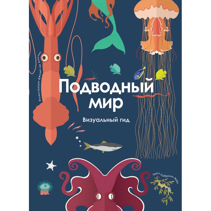 Росмэн Книга Подводный мир Визуальный гид визуальный образ и мир искусства