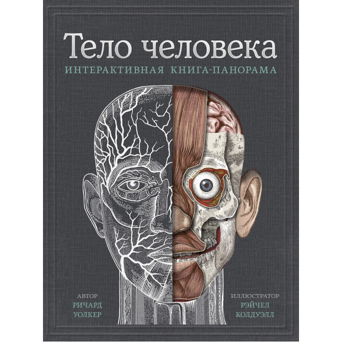 фото Издательство манн, иванов и фербер р.уолкер интерактивная книга-панорама тело человека