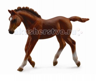 

Collecta Фигурка Жеребец каштановый бегущий M, Фигурка Жеребец каштановый бегущий M