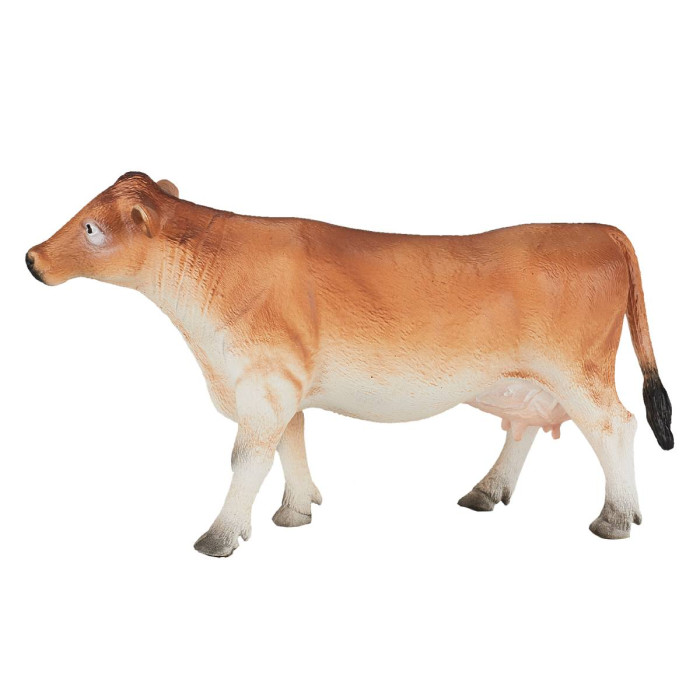  Konik Джерсейская корова