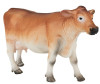  Konik Джерсейская корова - Konik Джерсейская корова