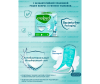  Molped    Antibac Normal 8 . 12  - 5070434_77-1680533463