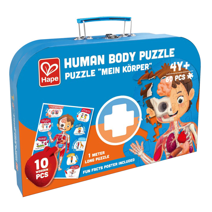 Деревянная игрушка Hape Пазл-игрушка Как устроено тело человека (60 элементов) деревянная игрушка hape пазл цифры