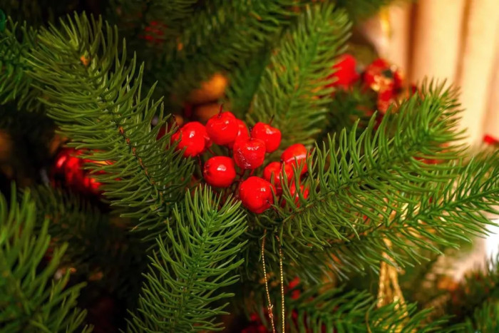 Царь Елка Ель искусственная Алиса 190 см