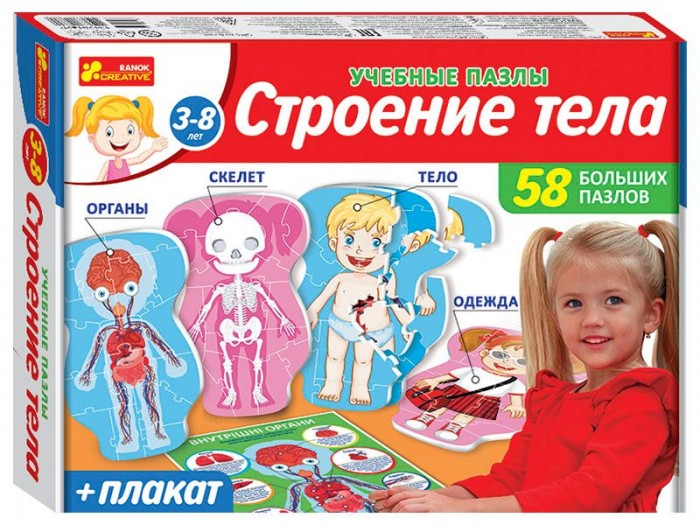 

Ranok-creative Настольная игра Строение тела, Настольная игра Строение тела
