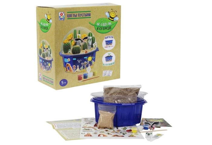 1 Toy Набор для детского творчества Во саду ли, в огороде Цветы пустыни Т15179 - фото 1