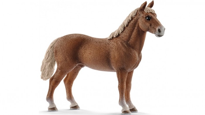 

Schleich Игровая фигурка Жеребец Морган, Игровая фигурка Жеребец Морган