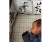Развивающая игрушка Потешка для новорожденных с черно-белыми картинками Mimi книжка - oteshka-razvivayushhaya-knizhka-s-cherno-belymi-kartinkami-mimiknizhka-1831184-1671021544