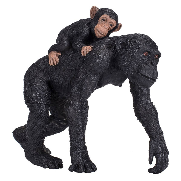  Konik Шимпанзе с детенышем