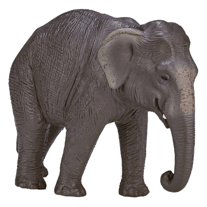 Игровые фигурки Konik Азиатский слон schleich статуэтка азиатский слон