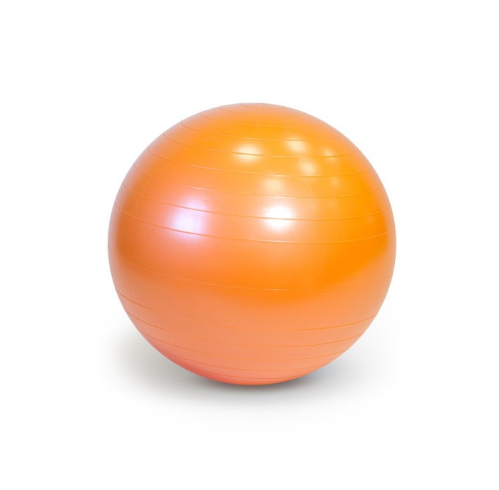 Gymnic Plus Мяч гимнастический Фитбол 65 см 1136417