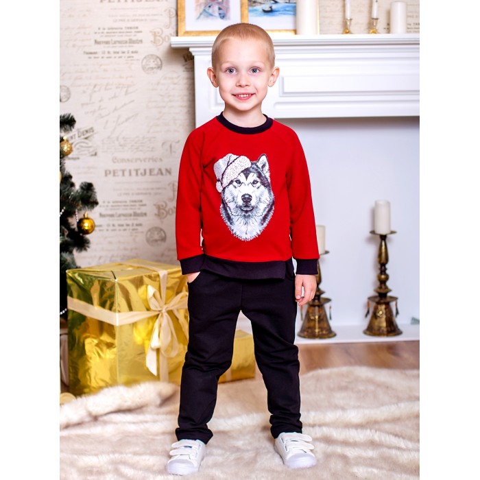 Комплекты детской одежды Дашенька Костюм для мальчика Волк в Шапке (джемпер, брюки)