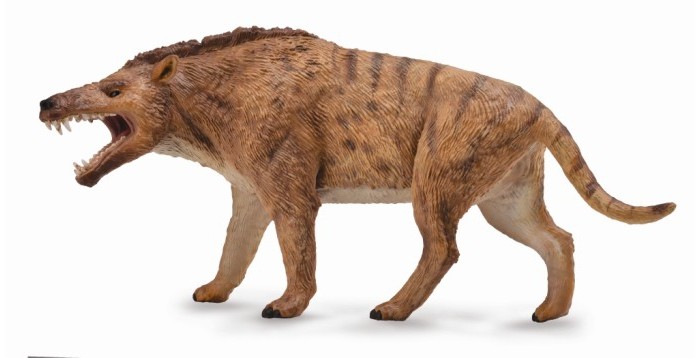 

Collecta Эндрюсарх, Эндрюсарх